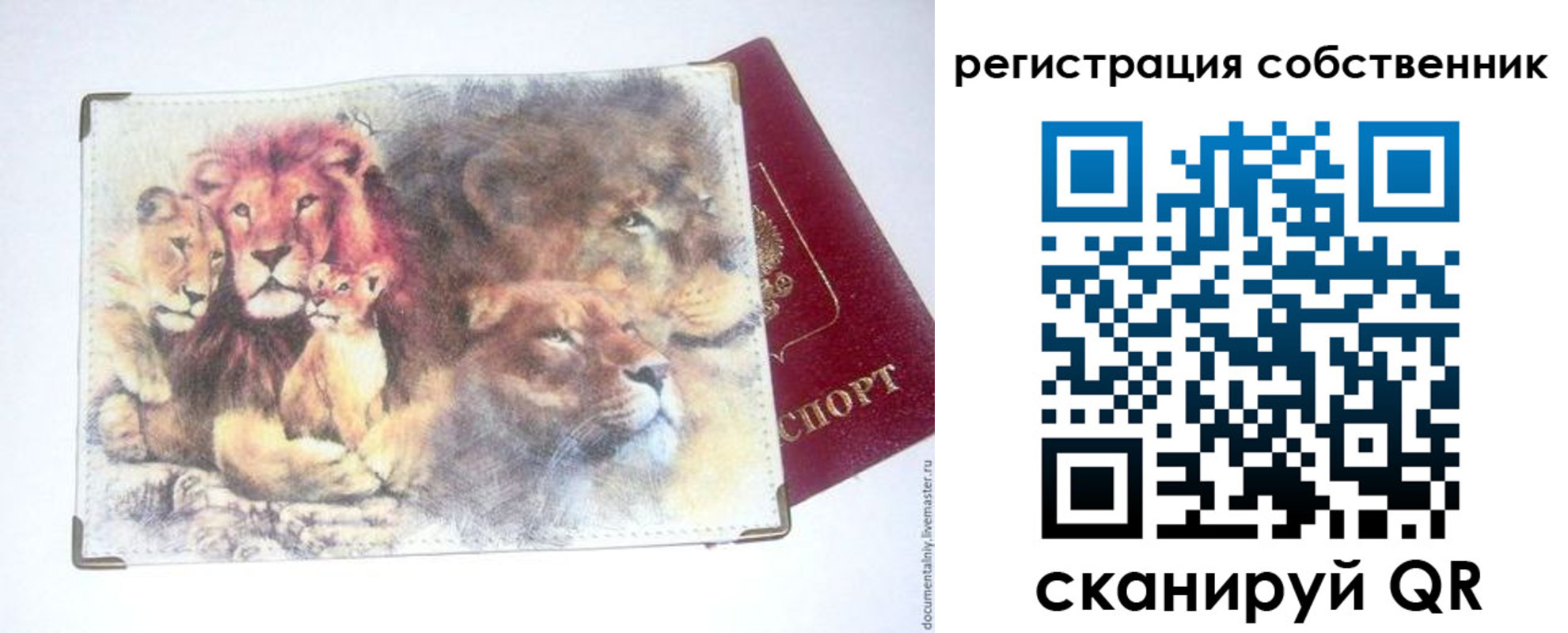 прописка для кредита в Няндоме